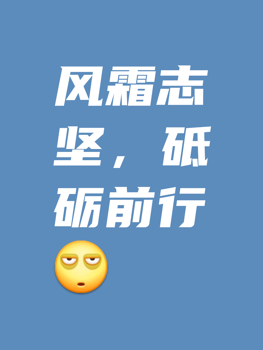 多芒鸿运当头，追求胜利的决心不减的简单介绍